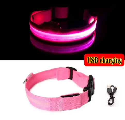 Autumn's Bliss ™ L.E.D Dog Collar
