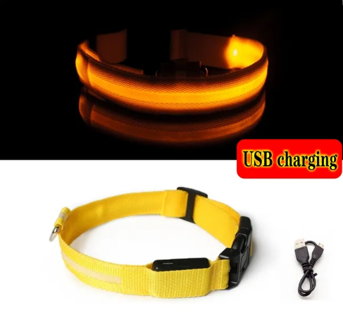 Autumn's Bliss ™ L.E.D Dog Collar