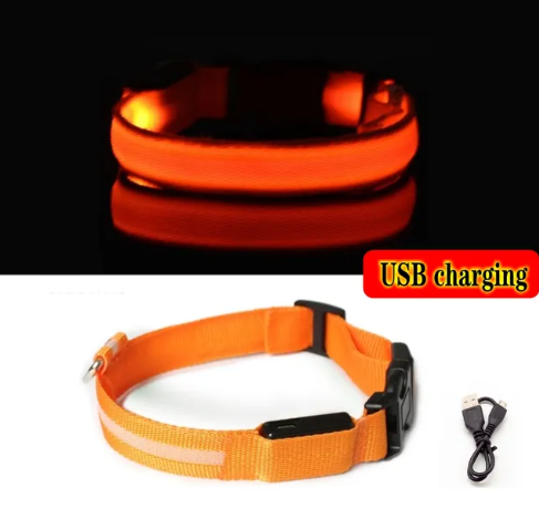 Autumn's Bliss ™ L.E.D Dog Collar