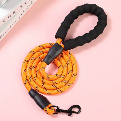 Autumn's Bliss ™ Reflective Dog Leash