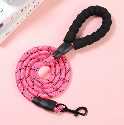 Autumn's Bliss ™ Reflective Dog Leash