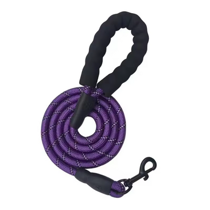 Autumn's Bliss ™ Reflective Dog Leash