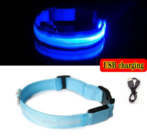 Autumn's Bliss ™ L.E.D Dog Collar
