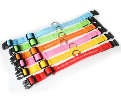 Autumn's Bliss ™ L.E.D Dog Collar