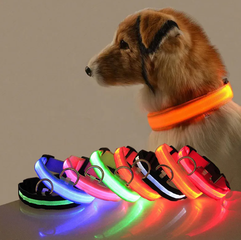 Autumn's Bliss ™ L.E.D Dog Collar