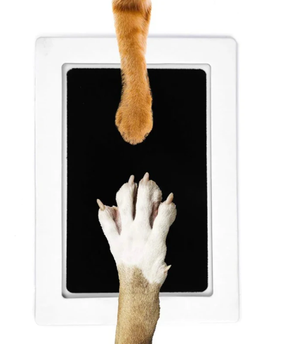 Autumn's Bliss ™ Paw Print Ink Kit