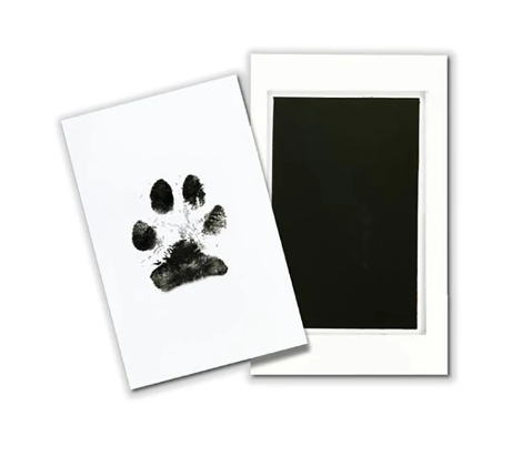 Autumn's Bliss ™ Paw Print Ink Kit