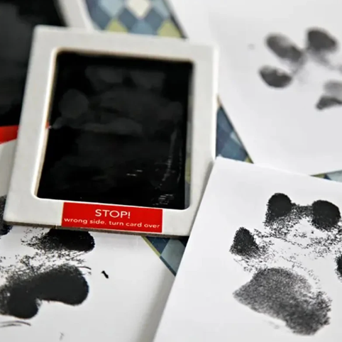 Autumn's Bliss ™ Paw Print Ink Kit