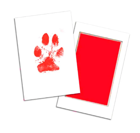 Autumn's Bliss ™ Paw Print Ink Kit