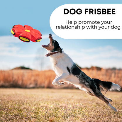 Autumn's Bliss ™ Dog Frisbee