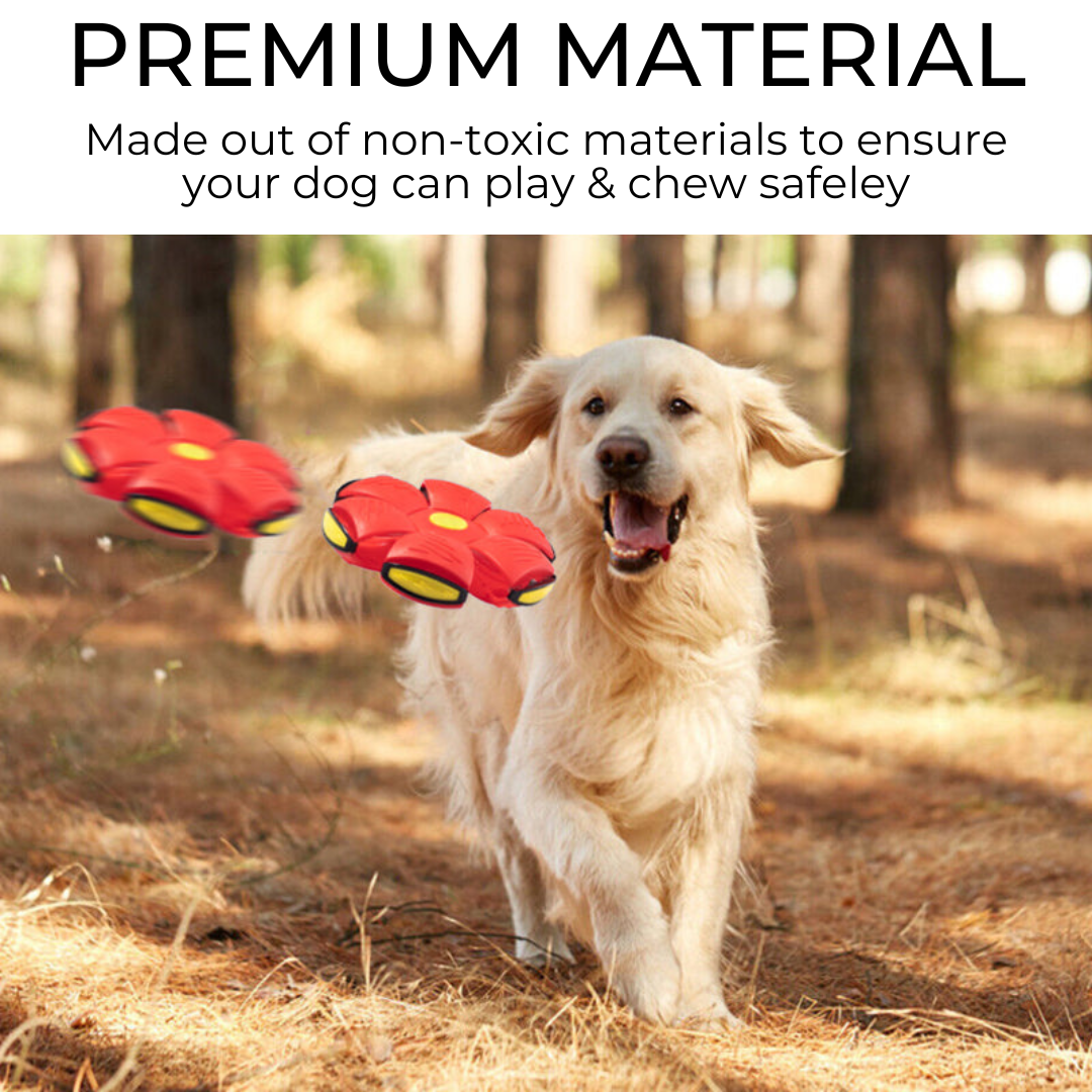 Autumn's Bliss ™ Dog Frisbee