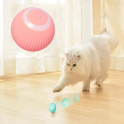 Autumn's Bliss ™  Interactive Ball